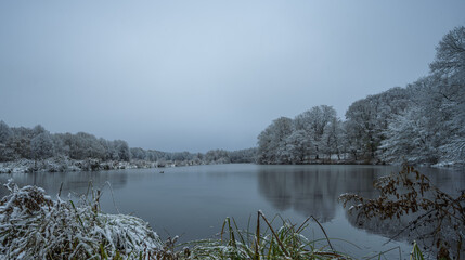 Frozen lake in northern German countryside after snowfall in winter