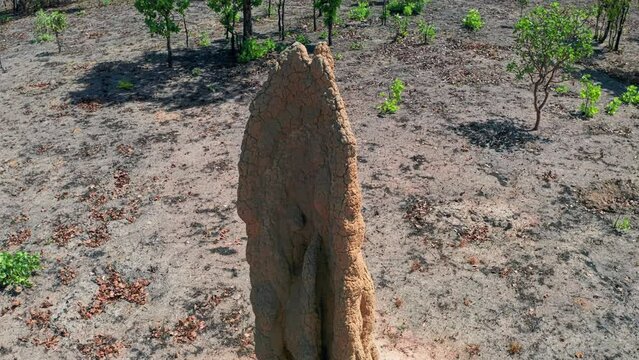 Dirt and earth made ant hill termite mound in Australia outback north country