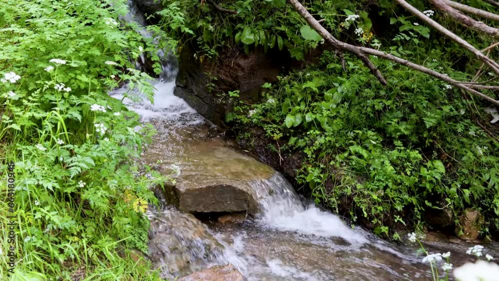 Wall mural A clear stream on Luya Mountain