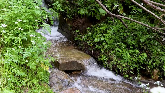 A clear stream on Luya Mountain
