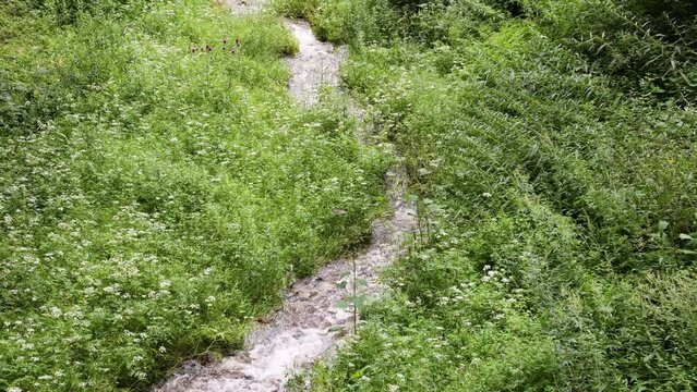A clear stream on Luya Mountain
