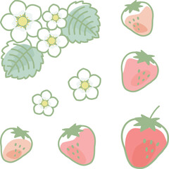 かわいい苺と花のイラストセット