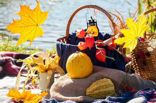 Pumpkins with fesalis in a wicker basket. Autumn decor for Halloween or Thanksgiving in nature