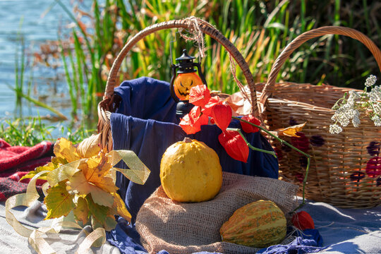 Pumpkins with fesalis in a wicker basket. Autumn decor for Halloween or Thanksgiving in nature