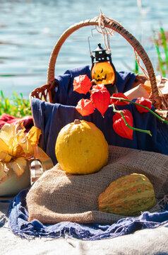Pumpkins with fesalis in a wicker basket. Autumn decor for Halloween or Thanksgiving in nature