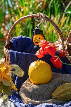 Pumpkins with fesalis in a wicker basket. Autumn decor for Halloween or Thanksgiving in nature