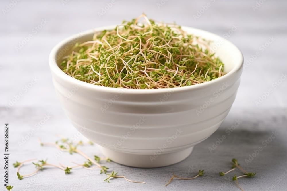 Wall mural alfalfa sprouts in a ceramic bowl on neutral backdrop