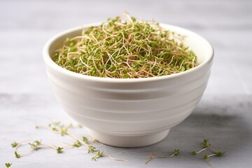 alfalfa sprouts in a ceramic bowl on neutral backdrop