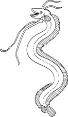 Oarfish illustration.