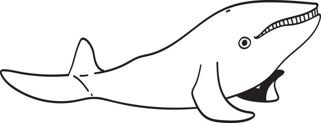 whale illustration