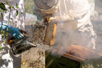 A beekeeper smokes in a hive while another beekeeper extracts honey combs