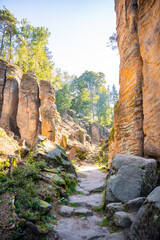 Prachovske skaly in sun lights, Cesky raj sandstone cliffs in Bohemian Paradise, Czech Republic - obrazy, fototapety, plakaty