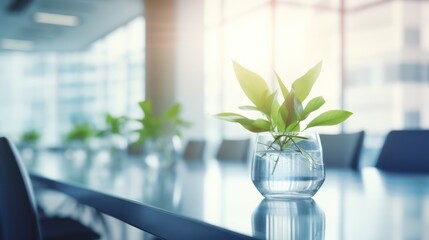 Empty conference room with glass of green plant pot 