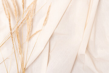 Soft beige background with dried plant, neutral aesthetic, copy space