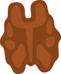 Walnut Nut Icon