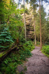 Hiking Trail through Saxon Switzerland National Park, or Nationalpark Sächsische Schweiz