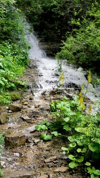 A clear stream on Luya Mountain