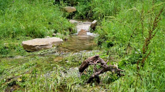 A clear stream on Luya Mountain