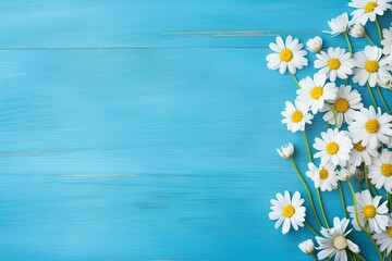 Daisy border on blue wood.