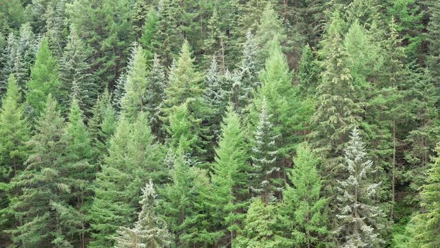The natural scenery of Luya Mountain