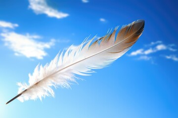 feather levitating against sky to represent spirit leaving