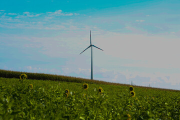 Wind turbines in Bavaria, blue sky, a flower meadow in the foreground