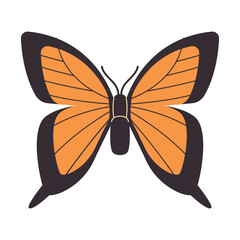 Tiger swallowtail butterfly vector drawing illustration orange and black color