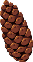 pine and fir cones close up. Detail of a large pine cone transparent, png.Winter holiday decor. illustration
