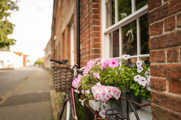 Shallow focus of beautiful window flowers seen on a window ledge of an English terraced house. A parked bicycle belonging to the owner is leaning against the brick wall.