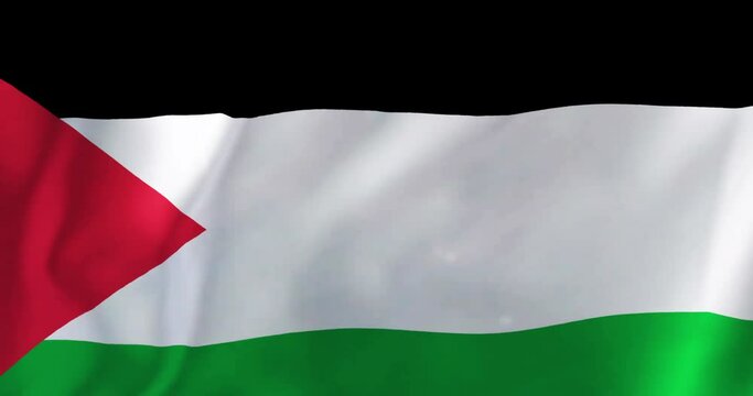Animation of flag of palestine waving