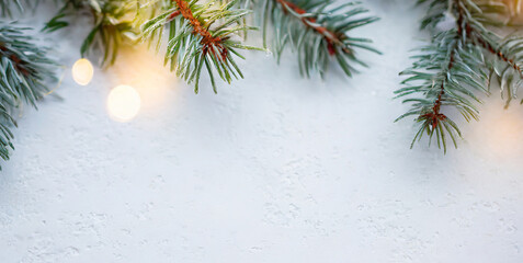 white christmas background with spruce frosty brunches and christmas lights  - obrazy, fototapety, plakaty