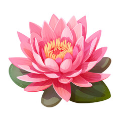pink lotus flower on white painting