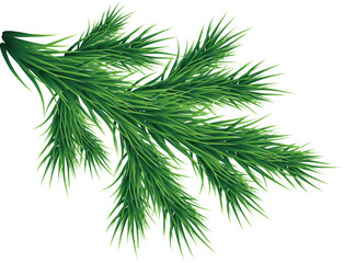 Merry Christmas and Happy New Year decoration.Fluffy fir tree branch on transparent, png,illustration for decoration