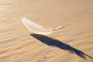 a single white feather casting a long shadow on a plain surface