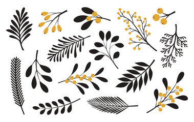 Set of vector plants isolated on white background