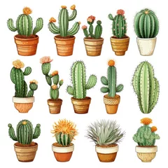 Badkamer foto achterwand Cactus in pot The Cactus set on white background. Clipart illustrations.