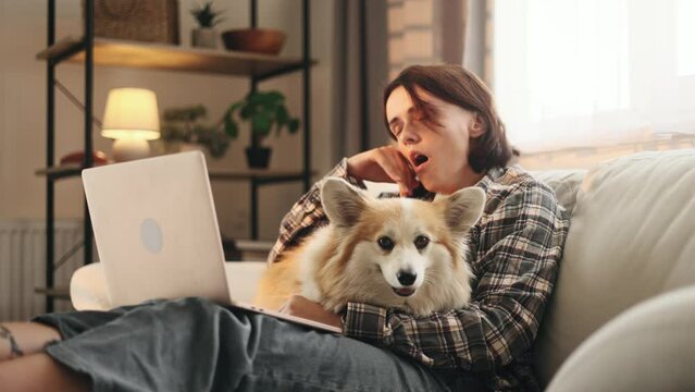 Tired young student freelancer with cute fluffy corgi dog pet feeling boring with study or work at home Stressed female exhausted from remote distance work or education on laptop computer indoors