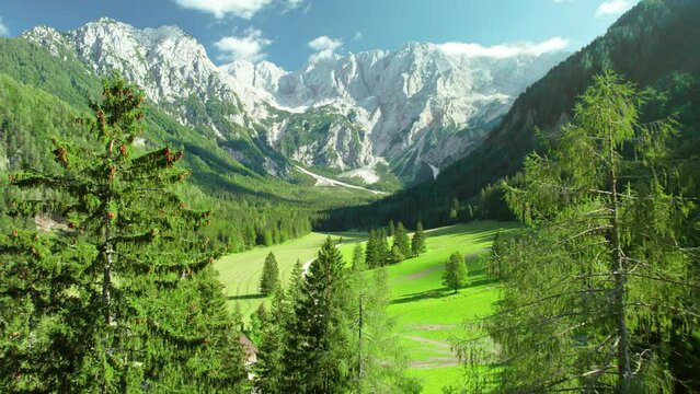 Idyllic green valley with magnificent Alps mountains in Slovenia