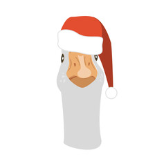 Fototapeta na wymiar Grey goose goose in Santa Claus helper hat isolated design element. Funny and cute goose vector illustration. Farm Christmas bird