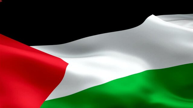 Palestine flag. Sign of Palestinian seamless loop animation. Palestine flag HD Background. Palestinian flag isolated Closeup 1080p Full HD video for presentation for Victory day. National 3d Palestine