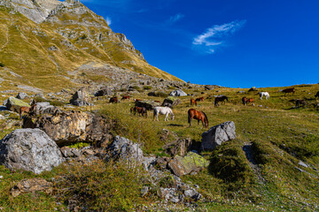 Paysages de la Route de la Soif, dans les Aravis, Savoie, France