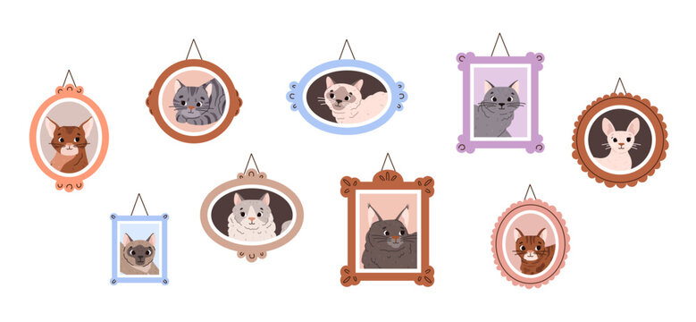 Wall with framed portraits of purebred cats, flat vector illustration isolated.