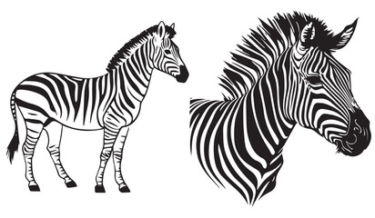 Fototapeta na wymiar Zebra head, black and white vector, silhouette shapes illustration