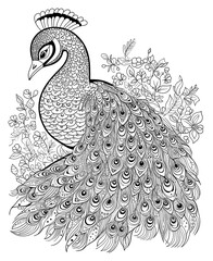 Fototapeta premium Black and white illustration for coloring birds, peacock.