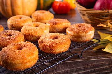 Naklejka na ściany i meble Sweet homemade apple cider donuts with cinnamon sugar on the baking rack. Autumn food.