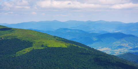 mountainous nature background. summer scenery in morning light