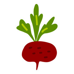 Doodle Beet. Red root vegetable. Vegetarianism and healthy eating. Vegetables and fruits. Stock vector illustration isolated on white background.