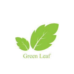 Logos of green leaf ecology nature element vector