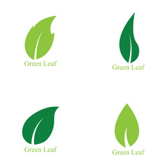Logos of green leaf ecology nature element vector