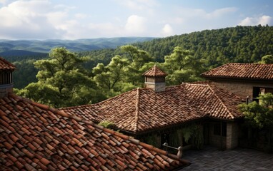 Fototapeta na wymiar Rustic Clay Roof Tiles Characterize